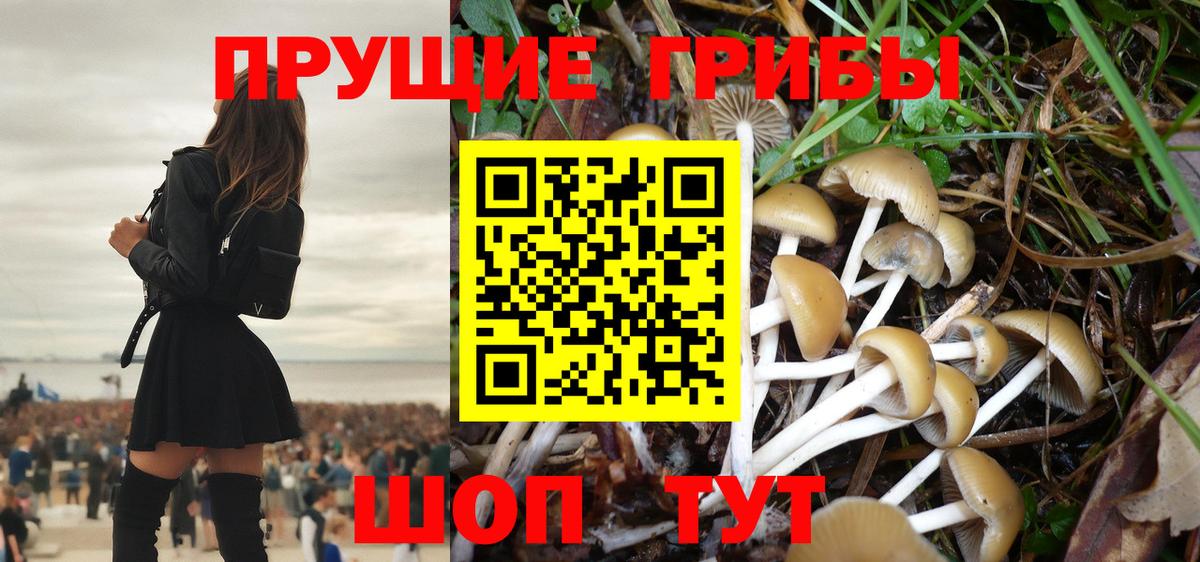 Псилоцибиновые грибы Psilocybine cubensis  Вход с VPN  Асбест 