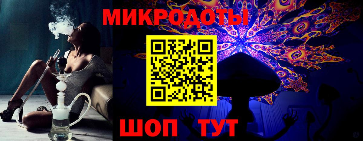 Псилоцибиновые грибы Psilocybine cubensis Асбест